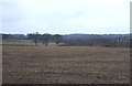 Farmland off Lumb Brook Road