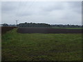 Farmland off Wet Gate Lane