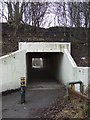 Underpass beneath disused railway