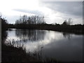 Lagoon at the Millennium Wetlands, Llanelli