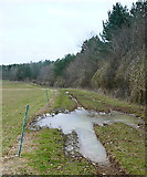 SP4217 : Footpath through Blenheim Park by Graham Horn