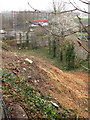 Railway embankment after tree felling