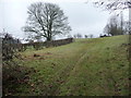 Field corner near Betws Newydd