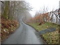 The lane to Llangurig