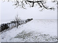 Snowed fields near to Wadshelf