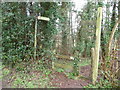 Footpath above the River Usk near Chainbridge