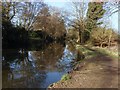 River Wey Navigation