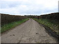 A lane near Lower Woolston