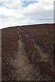 NR2359 : Overgrown Farm track at Gearach, Islay by Becky Williamson