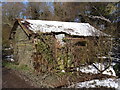 Derelict old shed by the track leading to Rye Farm