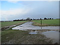 Concrete  roads  of  WW2  Cottam  Airfield