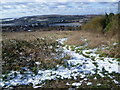 View of the Medway Viaducts from above Borstal