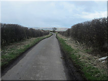 NT9749 : Country road north of Murton White House by Graham Robson