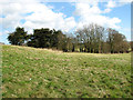 Footpath south of Thorpe Hall