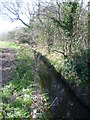 East Pyl Brook in Morden Park