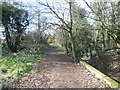 Path alongside East Pyl Brook in Morden Park