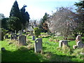 St Lawrence Churchyard, Morden and Church Farm Cottage