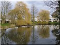 Lake by the River Wandle, Ravensbury Park