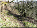 Footpath, near Pighill Wood, Outlane