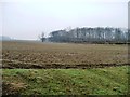 Farmland north-west of Binsoe Lane