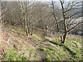 Footpath off Wellgate, Greetland