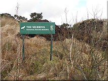 H5778 : "The Murrins" sign by Kenneth  Allen
