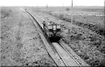 M6030 : Sugar beet train near Attymon Jct by Albert Bridge