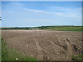 Fields  south  of  Rudston