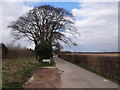 Entrance to the Woodland Burial Ground