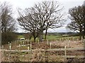 Small copse at Durnleyford Crossroads