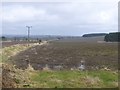 Electricity poles follow the fence line