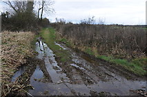 SO7312 : A muddy footpath by Philip Halling