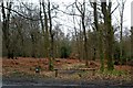 TQ4033 : Forest pathway near Wych Cross by nick macneill