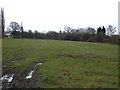 Farmland off Bells Lane