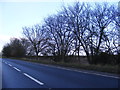 A12 Main Road & the footpath to The Street