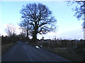 The Street & the footpath to the A12 Main Road