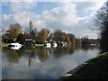 TQ0271 : River Thames, Staines by Alan Hunt