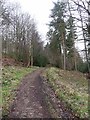 Bridleway up Waterhouse Bank