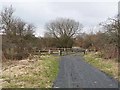 Crossing on the Deerness Valley Railway Path