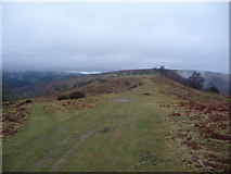 SO2824 : Ridge path near the Dialgarreg Stone by Jeremy Bolwell