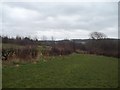 Footpath Approaching Stanley