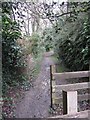 Public footpath near Colwell Farm