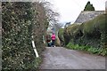 East Devon : Country Road