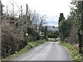 Newtown Road descending into Rostrevor