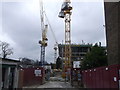 Building Site, Highbury Grove