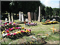 Freshly dug and settled graves, Witton Cemetery