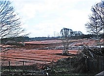 SO8274 : Part of the former British Sugar site, Stourport Road, Kidderminster by P L Chadwick
