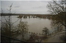 SP7209 : Flooding, River Thame by N Chadwick