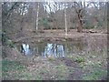 Pond on Hampstead Heath Extension