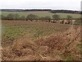 Arable land looking in the general direction of Haynes West End